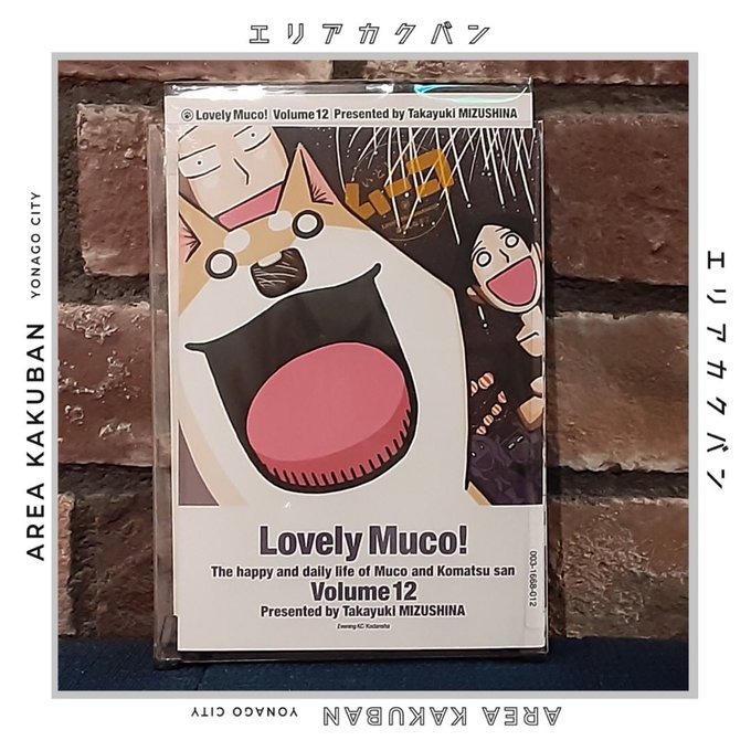 Ud8z953v1jlcvm
