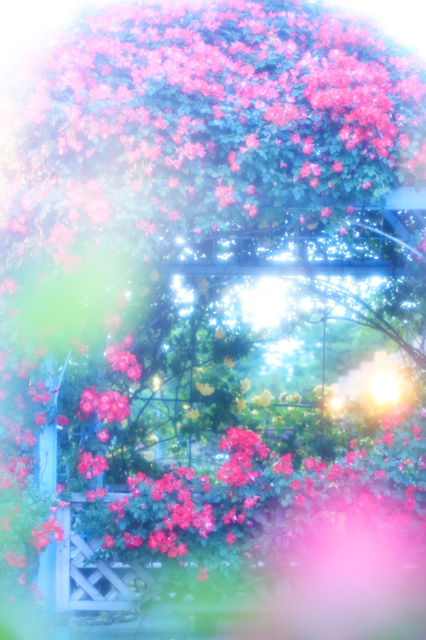 シマタエコ Taeko Shima 桜梅桃李 人と比べることなく 自分が今出来る最大限を ひとつずつ 桜梅桃李 T Co Ljmaatnupv Twitter