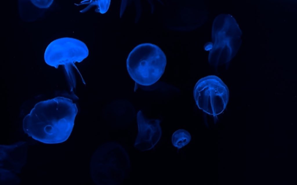 mars. (@yoxrgravity) on Twitter photo 