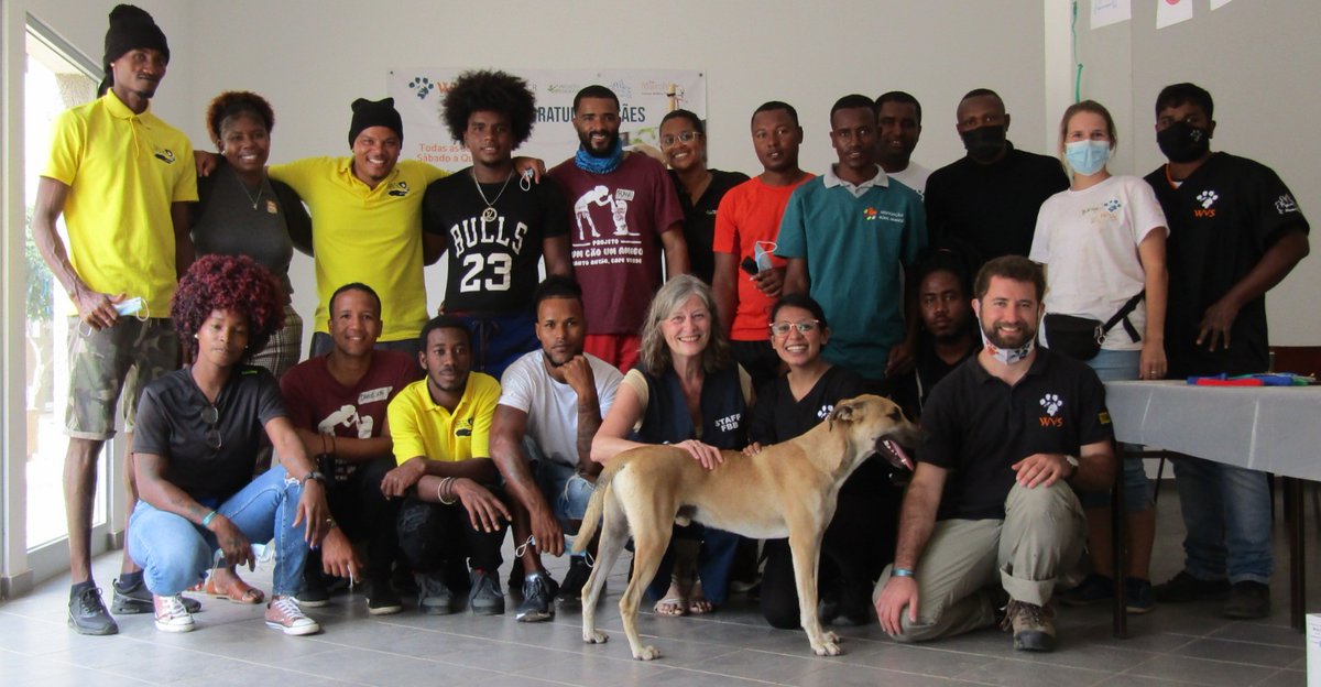 Fondation Brigitte Bardot (@fbb_officiel) on Twitter photo 🇨🇻Cap-Vert
La FBB finance une formation à la capture et à la stérilisation de chiens en collaboration avec les associations WVS, MCCR et <a href="/ProjetoBioSal/">Project Biodiversity</a>.
Après une rencontre avec la Première dame du Cap-Vert, 1500 #stérilisations sont prévues sur l’île de Sal dans un 1er temps ! 🇨🇻Cap-Vert
La FBB finance une formation à la capture et à la stérilisation de chiens en collaboration avec les associations WVS, MCCR et <a href="/ProjetoBioSal/">Project Biodiversity</a>.
Après une rencontre avec la Première dame du Cap-Vert, 1500 #stérilisations sont prévues sur l’île de Sal dans un 1er temps !