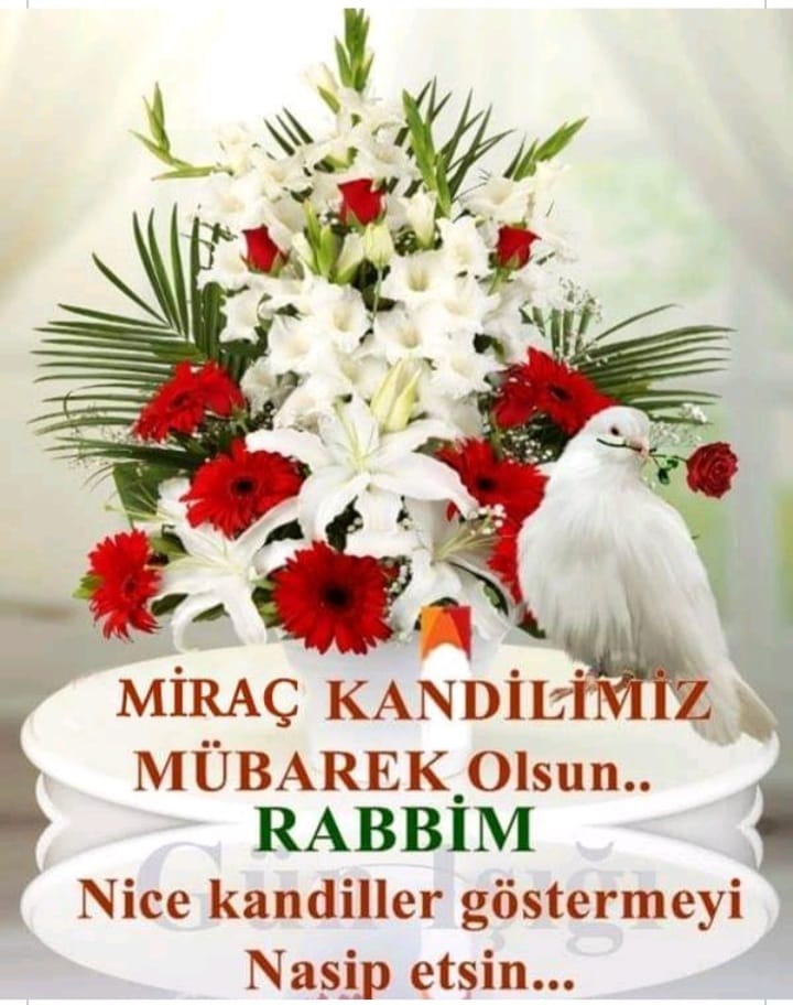 @d_cakaroglu @ruhenbahar @hassa61 @aliburak004 @gncnrllh @cumaotur14 @sabrigunes001 @eminecelik62 @Meryem_mrymmm Amin Rabbım nice kandiller gösdersin sağlıkli, sihhetli inşaAllah...