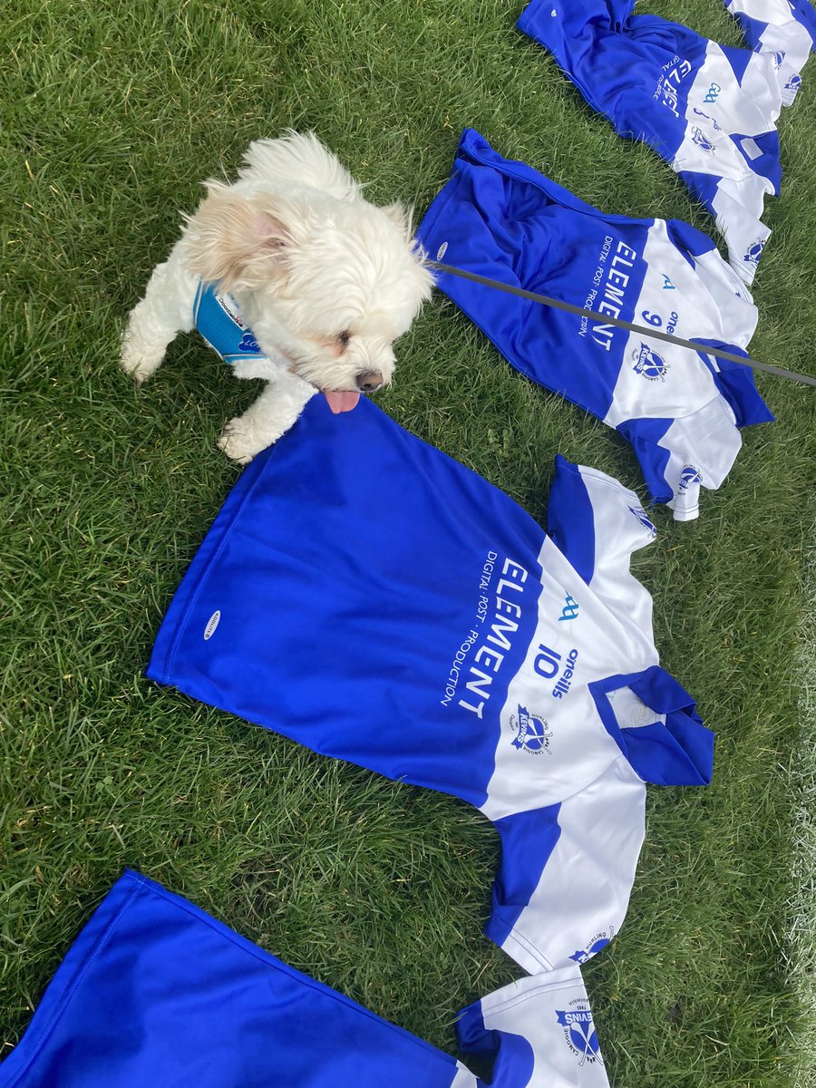 Chriona O'Sullivan tweet media