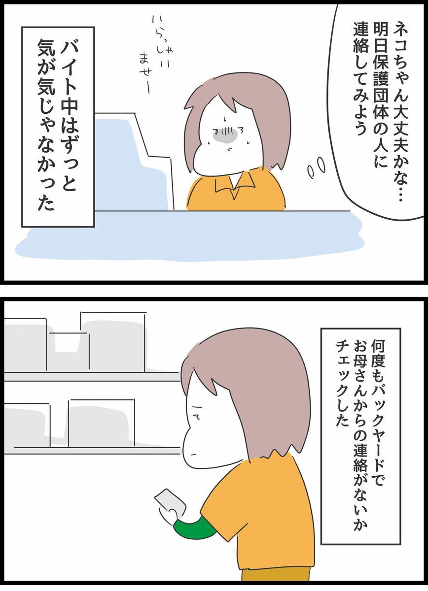 ネコの日になると思い出すこと5

※暗いお話なので気分が落ちている人は読まない方がいいかもです🙇‍♂️すみません💦 