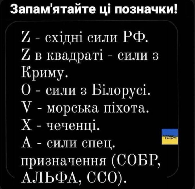 Pilt