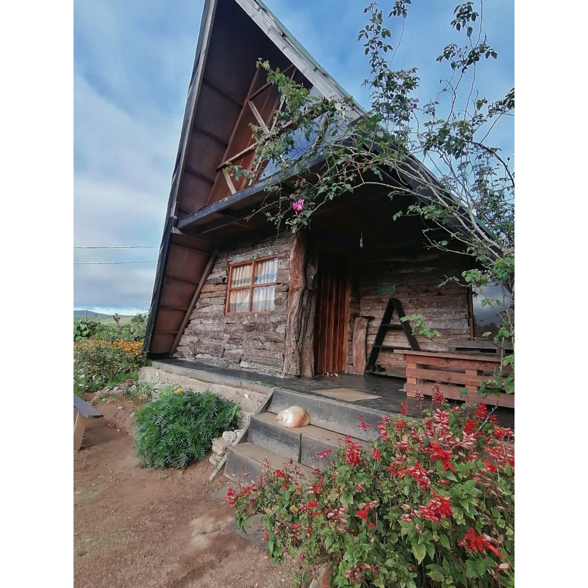 RashmikaShehan's tweet photo. A moment in heaven 🥰

#SriLanka #Hideoutcabins #Nuwaraeliya #travel #heaven #nature https://t.co/PPbq2z0rqH