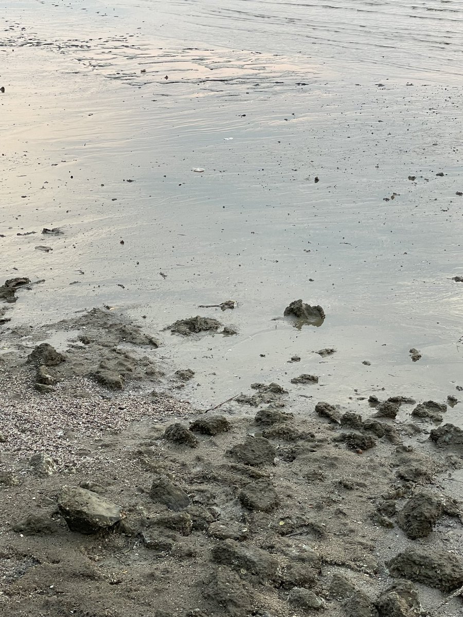 whatilearntodae's tweet photo. if i were the ocean, would you be the sky ? https://t.co/dJEpiJ1hGS