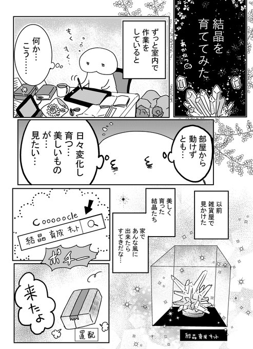 結晶育成日記① 