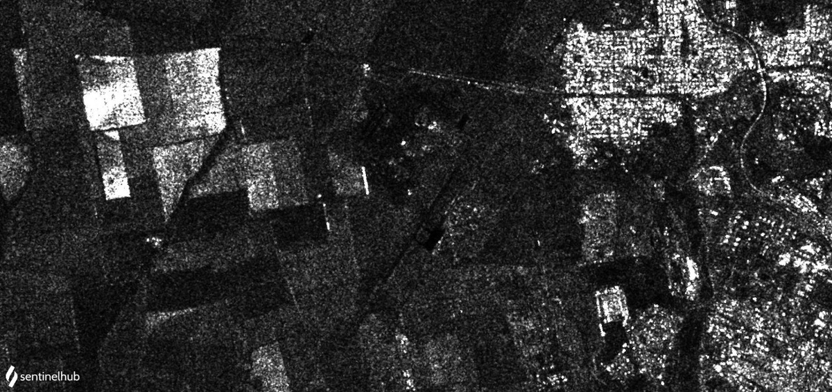 Military Intelligence tweet media