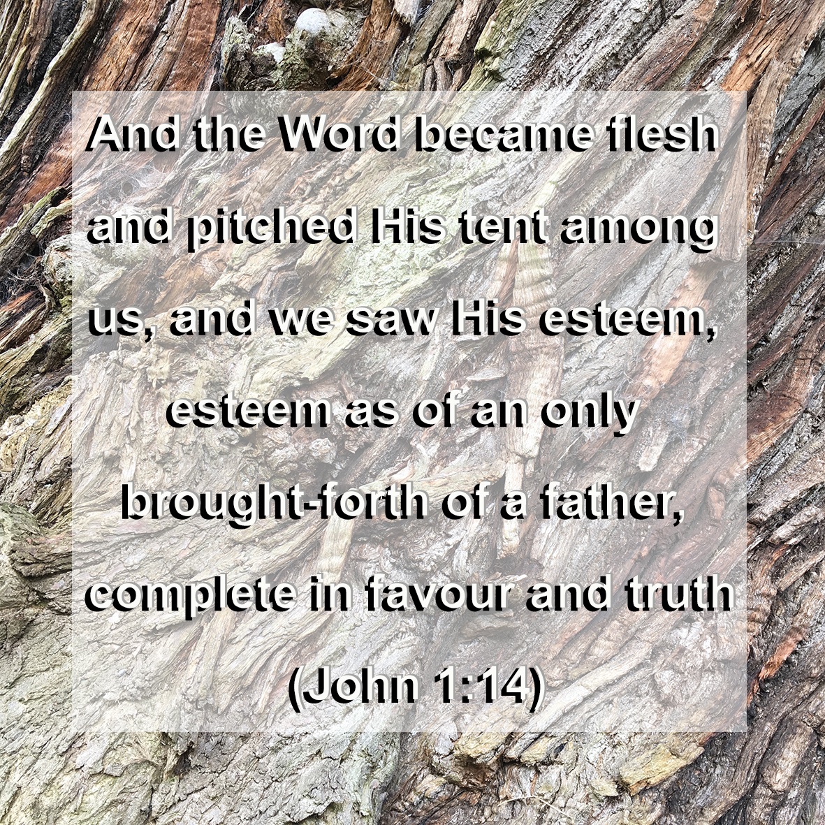 TheLiving__Word's tweet image. We need to be acquainted with the Word, knowing the Word, so that the Word lives in us.  Yahshua ha’Mashiah, the Risen One, is the Word.  We need to become acquainted with Him, meditating on Him and His Word.

#theWord #Yahshua #RisenOne