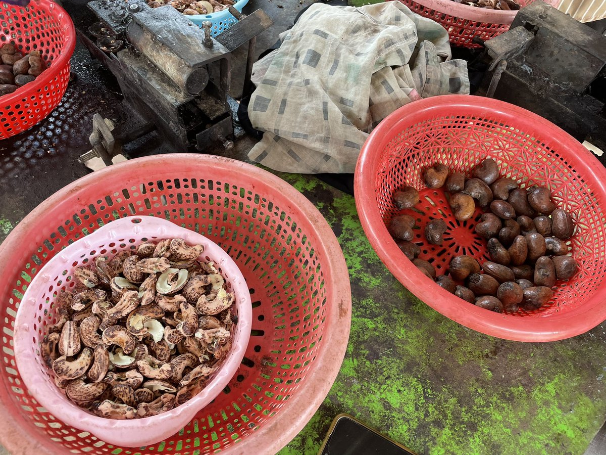ACRundp's tweet photo. We visited today  @UNDPCambodia projects in #KampongThom Province. #solar water pumps for rice fields &amp; #CommunityForestManagement based on multiple use of land for #sustainable livelihoods &amp; #forest protection. #Solidarity #WomenLeadership #rural credit &amp; saving schemes @theGEF https://t.co/BMnXM99wdZ