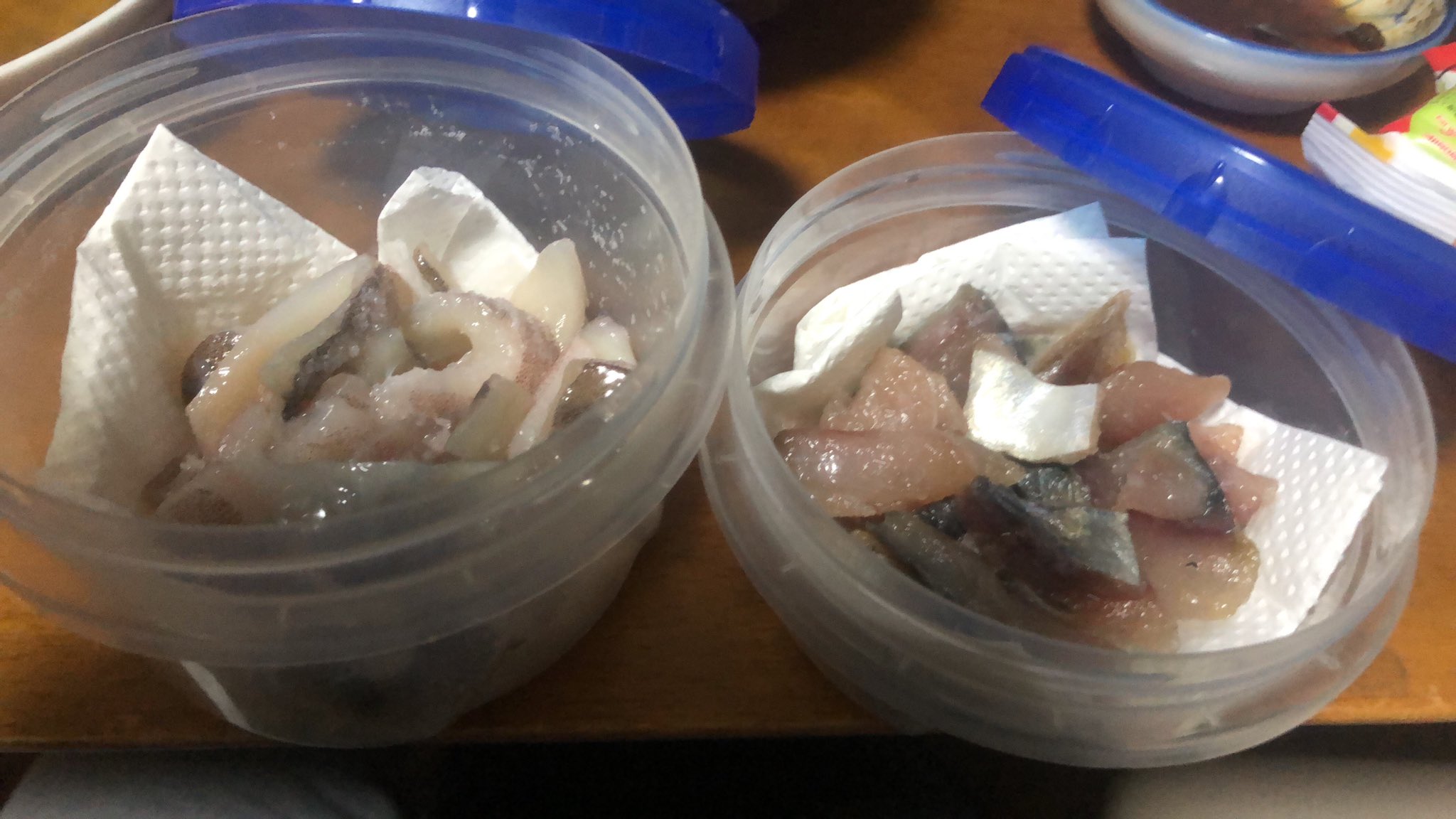 嶺喰水月 穴釣り用の釣り餌作ってまーす イカとサバの味の素漬け T Co Jyxtqkr1ue Twitter 嶺喰水月 穴釣り用の釣り餌作ってまーす イカとサバの味の素漬け T Co Jyxtqkr1ue Twitter