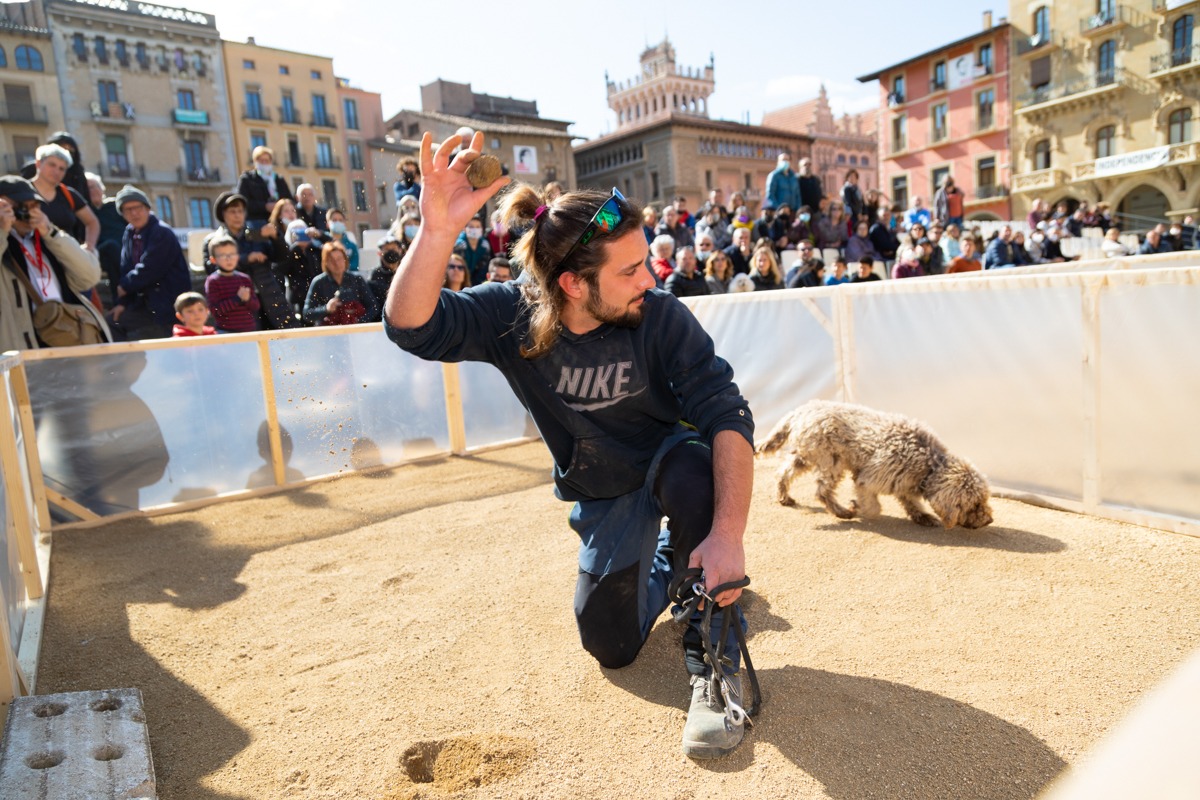 Trufforumofic's tweet photo. 3r Campionat de Catalunya de Gossos Tofonaires!🐶  Els 16 equips han pogut mostrar als visitants la seva compenetració i traça alhora buscar i trobar les tòfones amagades!
Els guanyadors han sigut en Josep Casals i la Lia (Roda de Ter) amb només 34 segons! ENHORABONA! 🥳 https://t.co/J8cKmmTif6