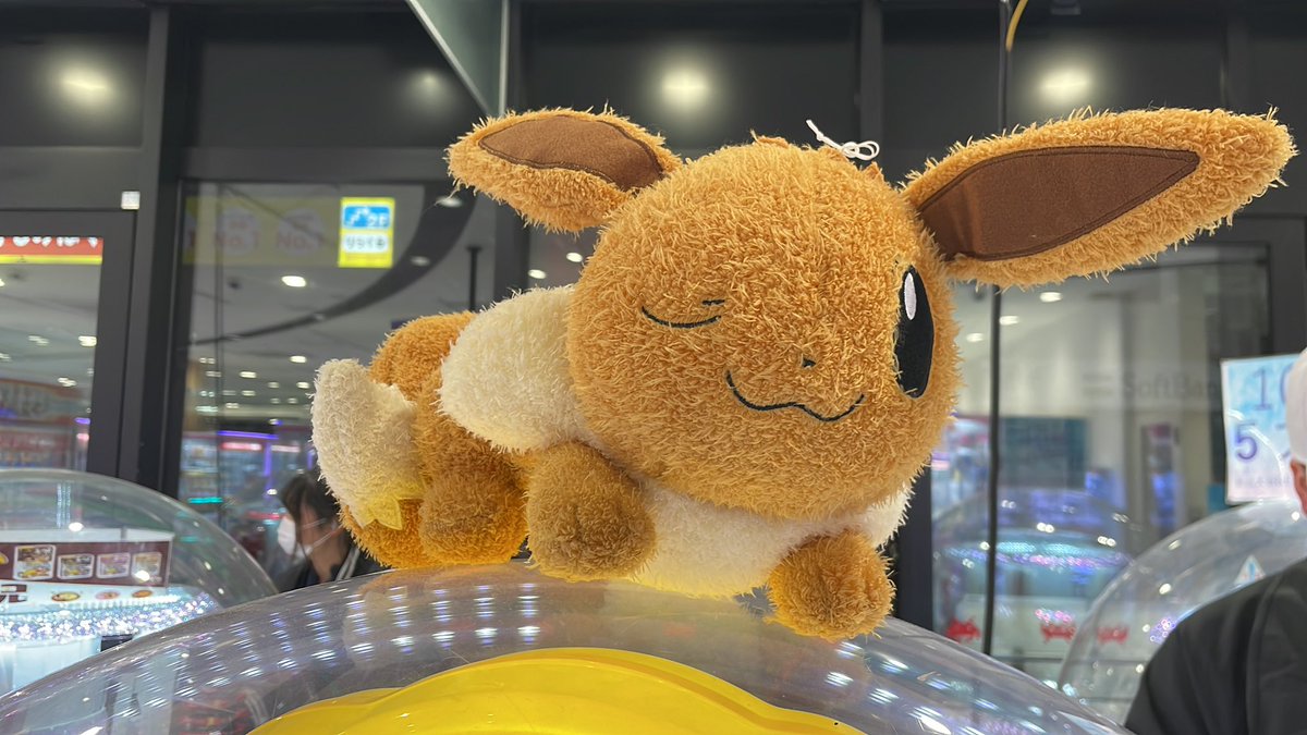 にーぶい🦖 tweet media