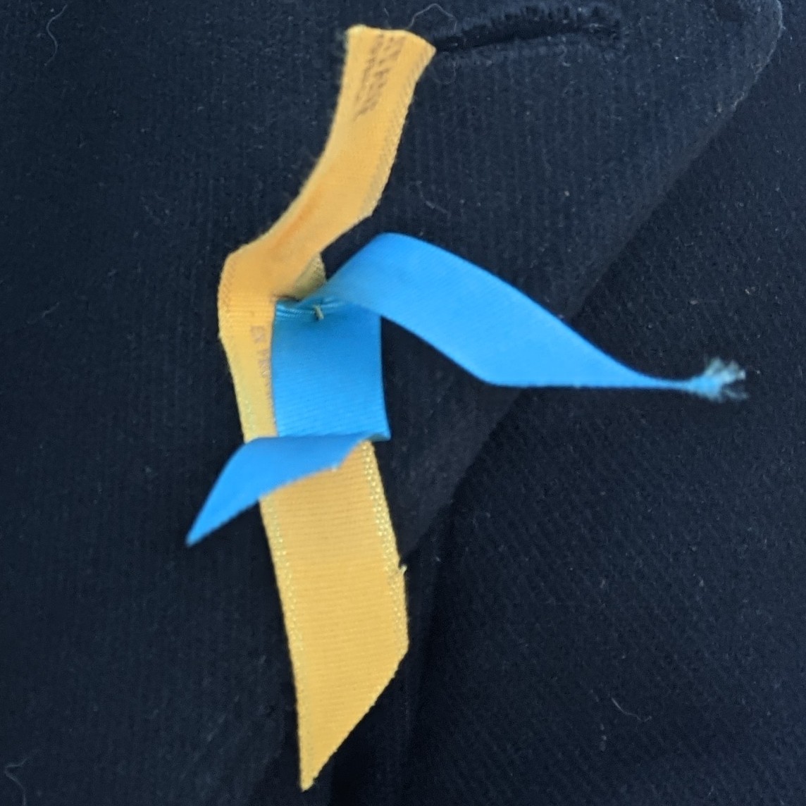 #Demonstration in #solidarity with the people of #Ukraine today (Sunday) 2pm Trafalgar Square #London #UkraineRussiaWar