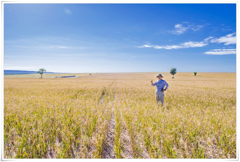 식량대란
식량안보
식품안보
아무리 강조해도 지나치지 않다.
마치 그것은 젊고 건강할때 건강이 그리 중요하게
다가오지 않는 것과 같다.
그러나 단 한번의 경험은 참혹할 수 있다.