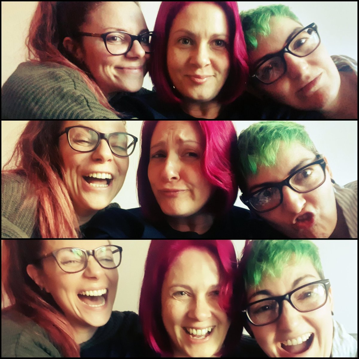 The Lounge Kittens tweet media