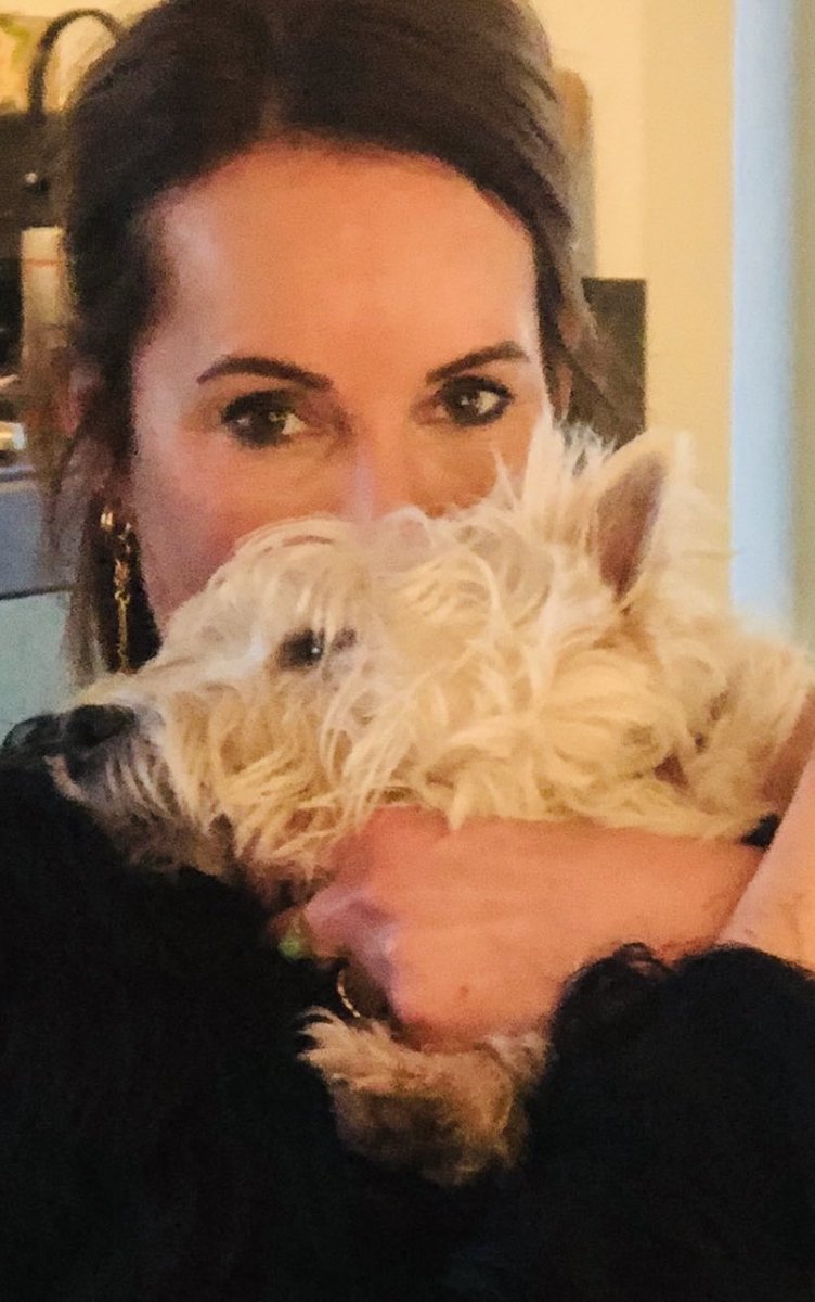 Kleine witte knuffelhondjes en de mentale schijf van vijf. Rustig door en je niet gek laten maken… esthervanfenema.nl/mentale-schijf…