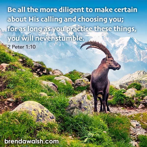 brendakwalsh's tweet photo. "Be all the more diligent to make certain about His calling and choosing you; for as long as you practice these things, you will never stumble." - 1 Peter 1:10
#bible #biblestudy #bibletext #bibleverse #verseoftheday #scripture #believers #Chrisitans #chosen #confidence #diligent https://t.co/Nv2gCuayrq