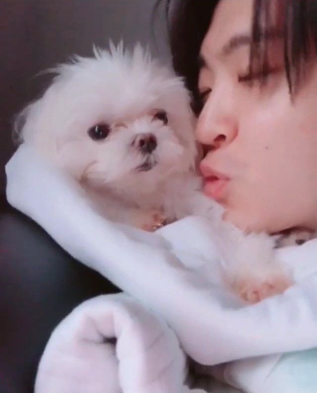 Balloonn83's tweet photo. สีชมพูของโค่💞💝✨
#cocogot7 #YOUNGJAE #got7 https://t.co/dbGxzs8nlD