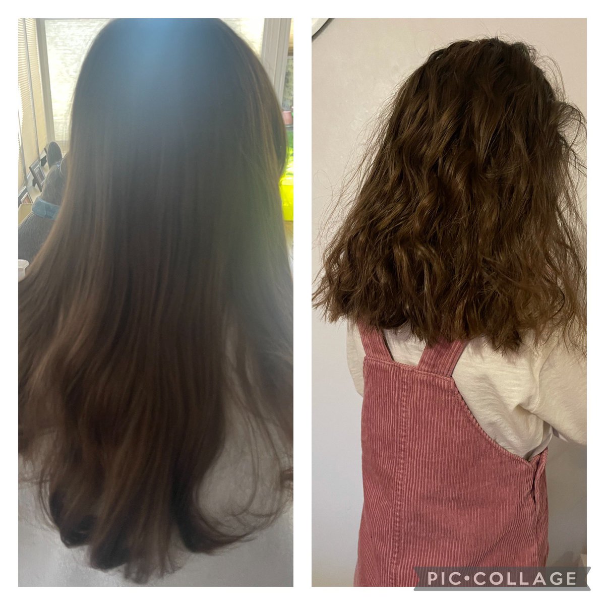 Nikki71282's tweet photo. A new term and new hair ✂️ https://t.co/kSdYym28jH