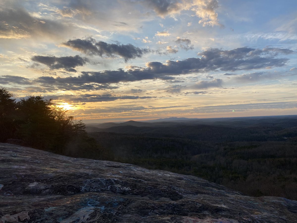 mrs.wings tweet media