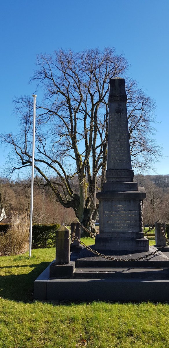 EkoLogIt's tweet image. Hotspot of large solitary trees #LSTs for #CoolTree in Lucheux, Picardy 🇨🇵 All three species there 🤩, including the magnificent ⬇️ "Arbre aux épousailles" ⬇️ (Tilia) in the main square 😍

@PieterDeFrenne 
@ForNaLab
