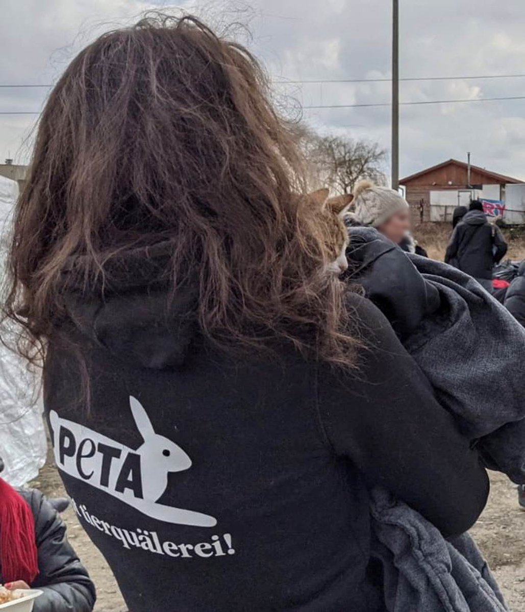 peta's tweet photo. This cat was carried by a refugee looking for shelter more than 60 kilometers from the war zone.

PETA Germany provided them both with necessary care &amp; supplies.

Humans &amp; animals stuck in Ukraine are debilitated &amp; frightened—they need all the support they can get. https://t.co/Th0TUaZMv8