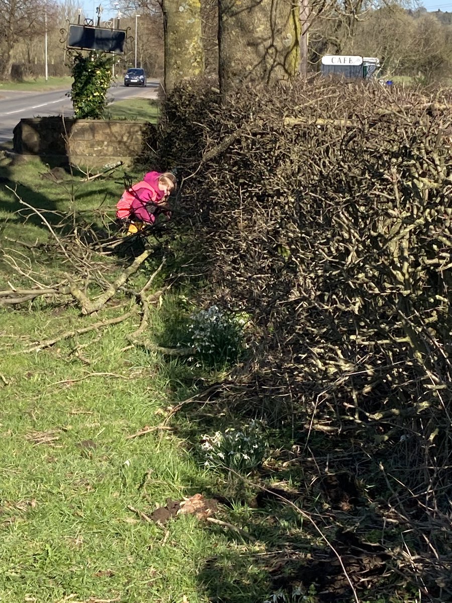 EStormtroopers's tweet photo. Random acts of kindness, we planted 200/600 daffodils, in Endon along the A53. Donated by friends at Fletchers Garden Centre to our charity Matthew’s Memory. + We litterpicked along the way. #RandomActsofKindnes #makingadifference #daffodils #lovewhereyoulive #SundayMotivation https://t.co/MCr4aRJl16