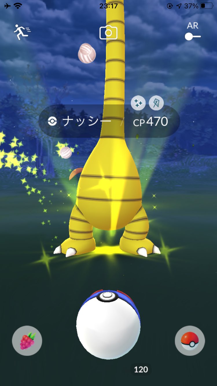 ぴよマール 0ac Twitterren 自宅周リに色違いナッシー８ ポケモンｇｏ ナッシー アローラナッシー 日曜 T Co Ttrqbupd04 Twitter
