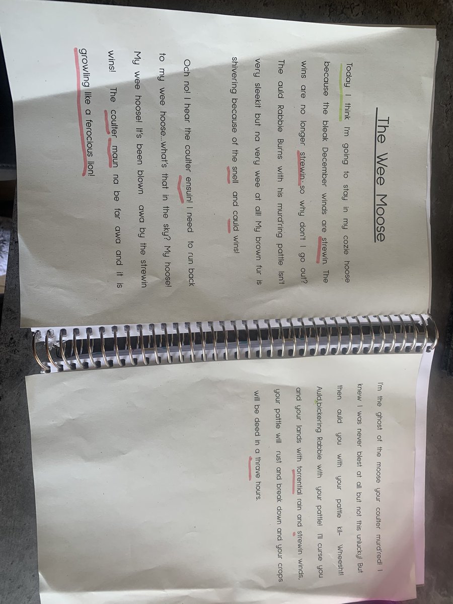 CaitlinRostock's tweet photo. For our Scotland topic we looked at Robert Burns poem ‘To a mouse’. I challenged the children to write from the perspective of the mouse using as many Scot’s words as they could. I was so impressed with the end results! They worked so hard 😍 #writing #upperyears #primary6 https://t.co/34bAJNYjMV