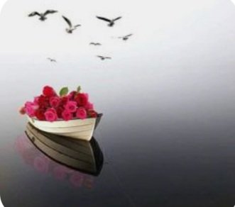 Avui us vull dir q us estimo. No us ho dic prou. Sobretot als q m'heu ajudat tant...He perdut d sobte una amiga d'un atac d cor.
Així, encara q entri poc a la xarxa us dic q us estimo i q sou un veritable regal x mi.Perdoneu-me si us he fallat, no n'he sabut més.
D tot cor💚🌹💫