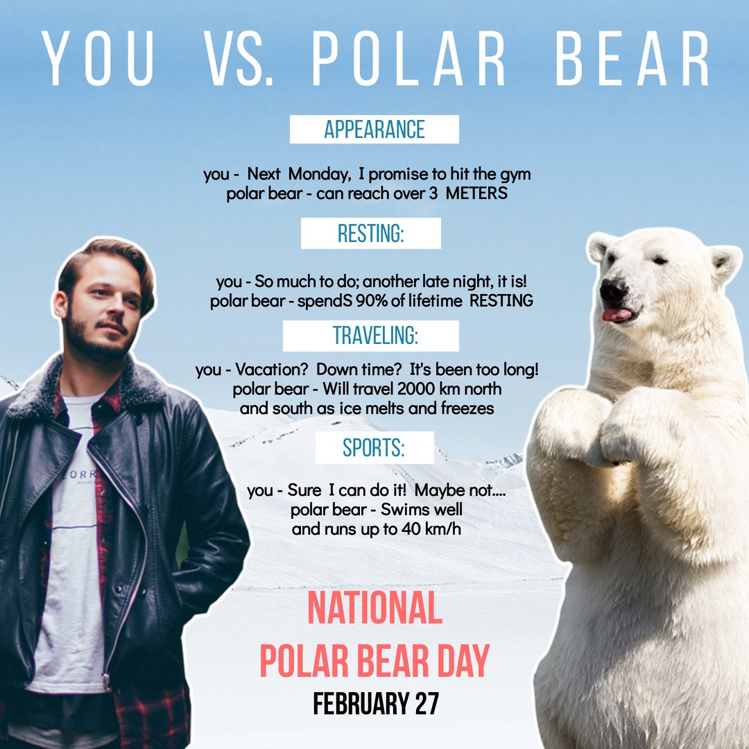 GeoffCreaghan's tweet image. National Polar Bear Day - who knew!? #PolarBears #strong #amazing #winter