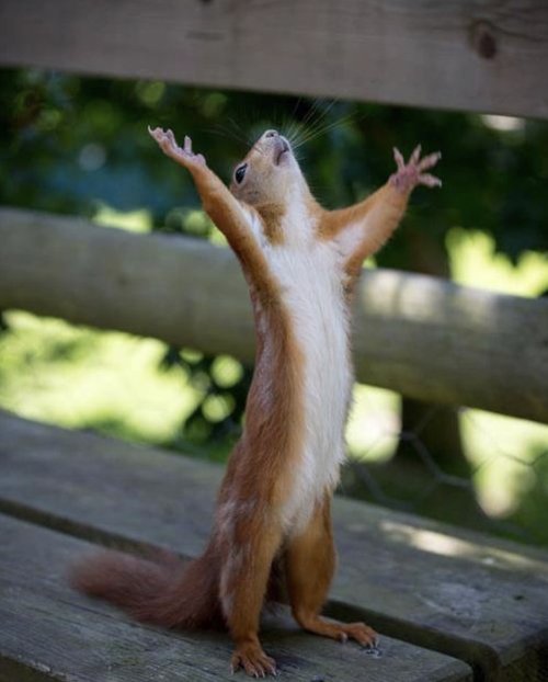 يارب ارحمنا،،،،رحمة من عندك يا كريم،،،،
والله تعبنا من هالدنيا والمجانين اللي فيها...