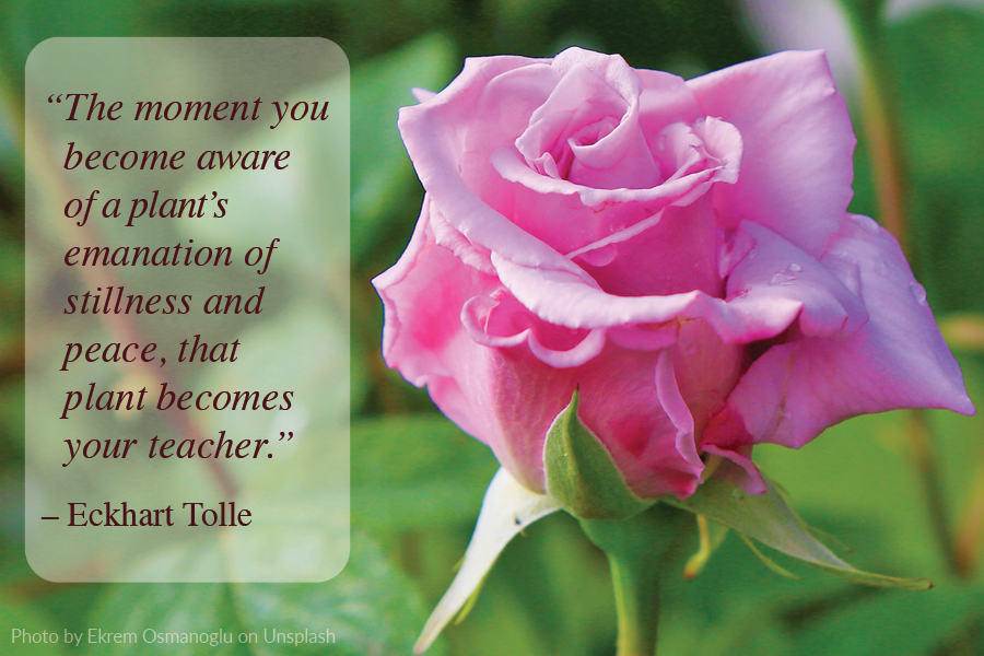 davidwinston's tweet image. 