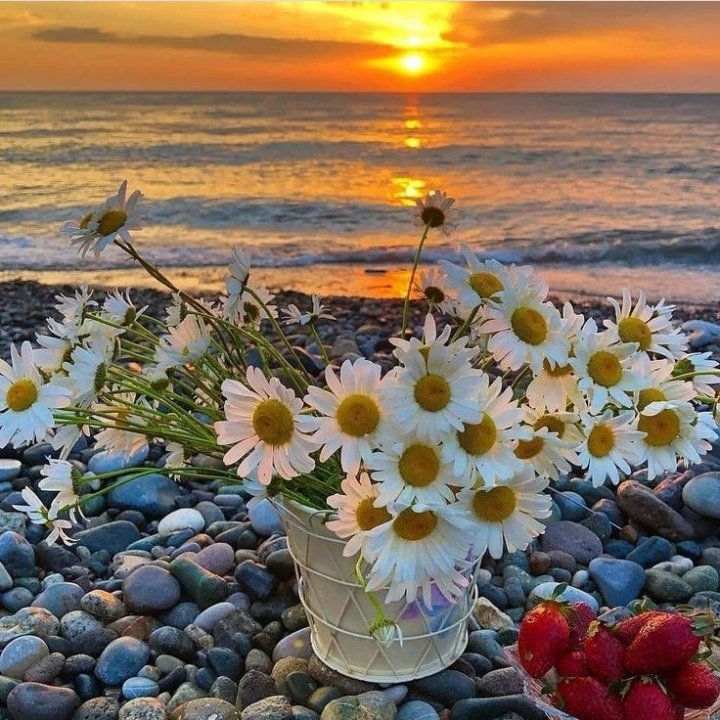 Tüm İslam aleminin #MiraçKandili Kutlu Olsun ❤🌼