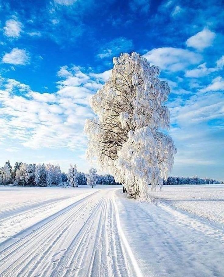 #with hope and love for  you all
#naturehelps healing
#norwaymoment 🇧🇻