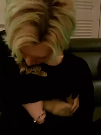 ten as cat 🐱 tweet media