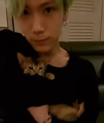 ten as cat 🐱 tweet media