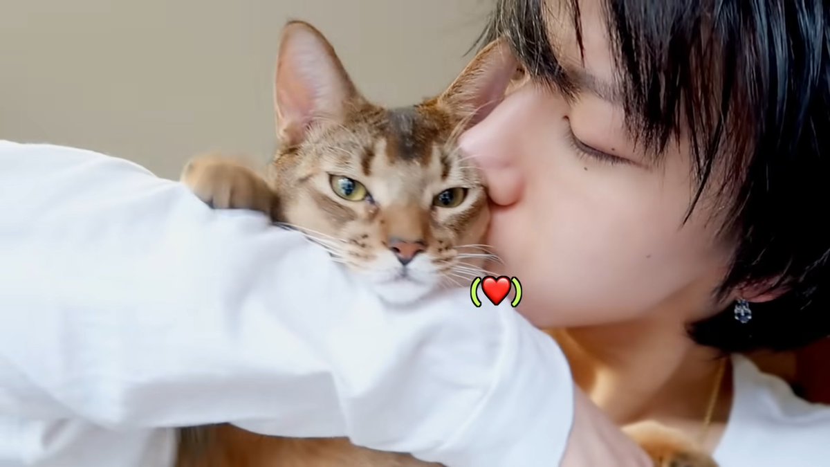 ten as cat 🐱 tweet media