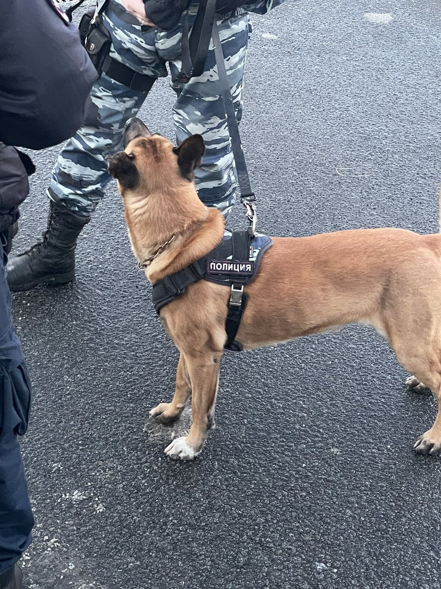Друзья срочно считается ли этот мальчик хорошим