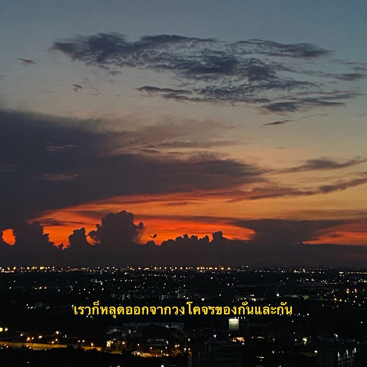 random (@whyifeelsoblue) on Twitter photo 