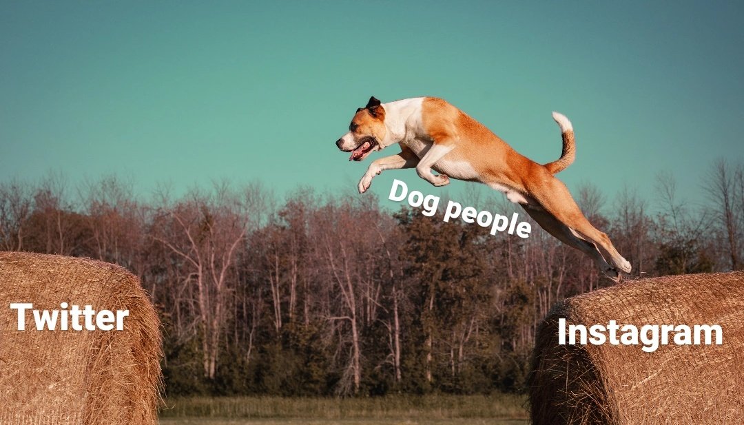 Anyone else just loving the vibe of the #twitterdogcommunity because wow your all amazing! #woofnottweet #DogsofTwittter #dogtwittercommunity #DogTwitter