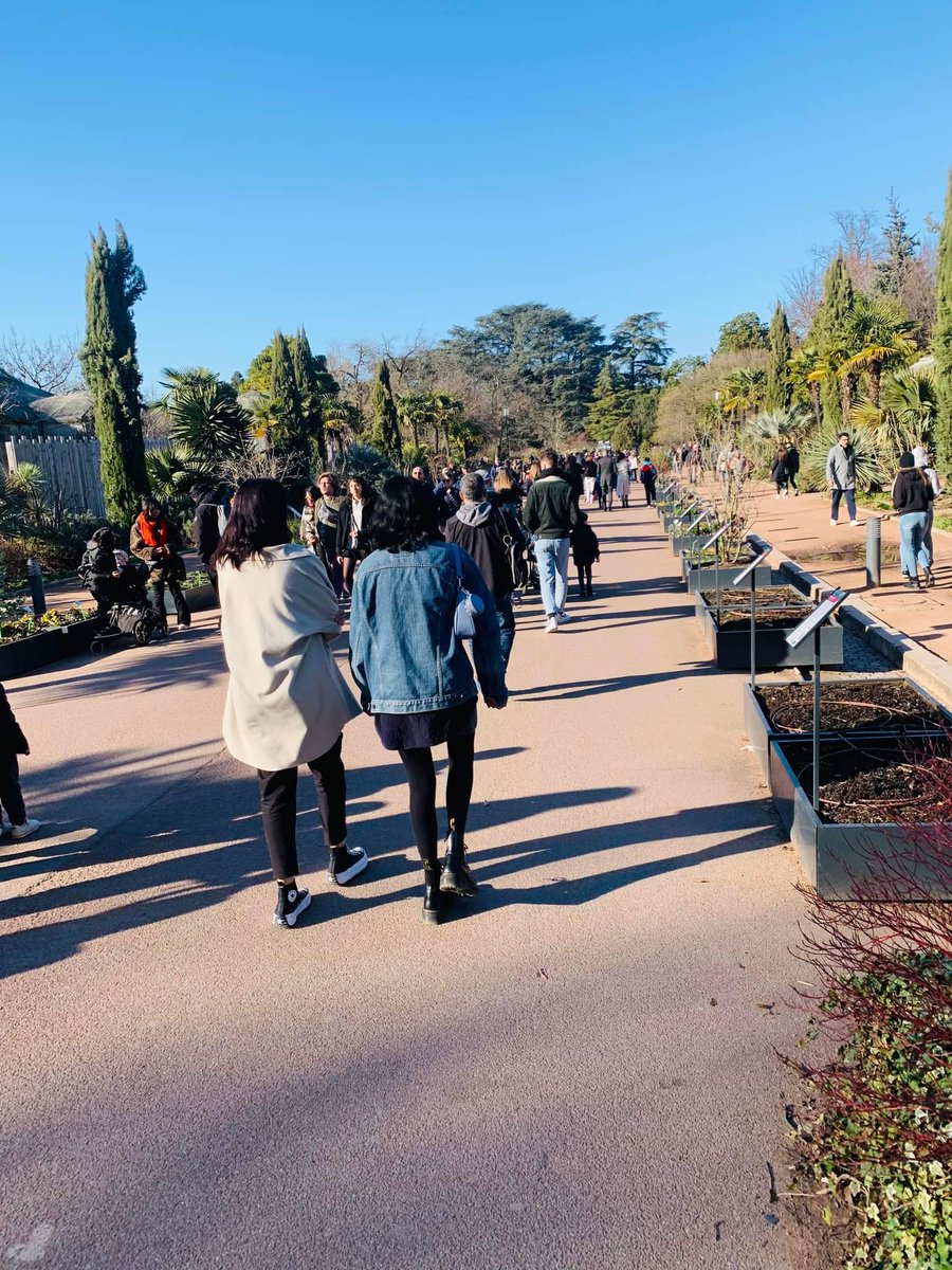 Дайны сургаар маскгүй болсондоо