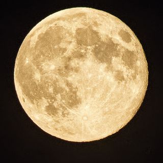 Luid het nieuwe seizoen in, ontdek de natuur dichtbij en ga mee wandelen met onze gids door het prachtige Natuurpark Lelystad. Het park is normaal gesproken niet toegankelijk na zonsondergang, maar voor deze excursie maken wij een uitzondering. 

mooiflevoland.nl/activity/seizo…