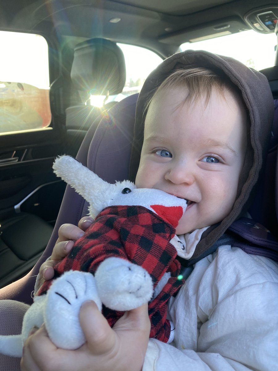 Green Bay is always so good to our family. Our local <a href="/Target/">Target</a> put together this sweet gift basket for Scout, she says thank you 😍