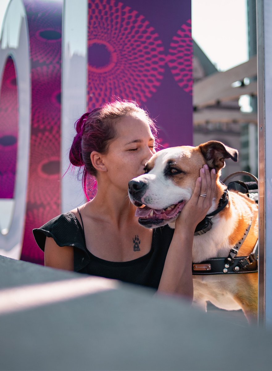 #dogphotography here's our favorite photo!