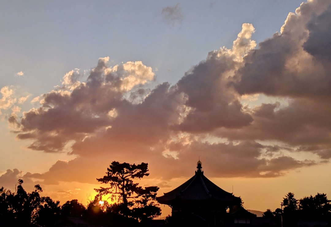 sri_aru's tweet photo. Have a nice Sunday.
Stay safe and healthy.
#sundayvibes #sunset #japandiaries #travelphotography #photooftheday #shotonpixel3 #photography #hobby https://t.co/va44DifRcw