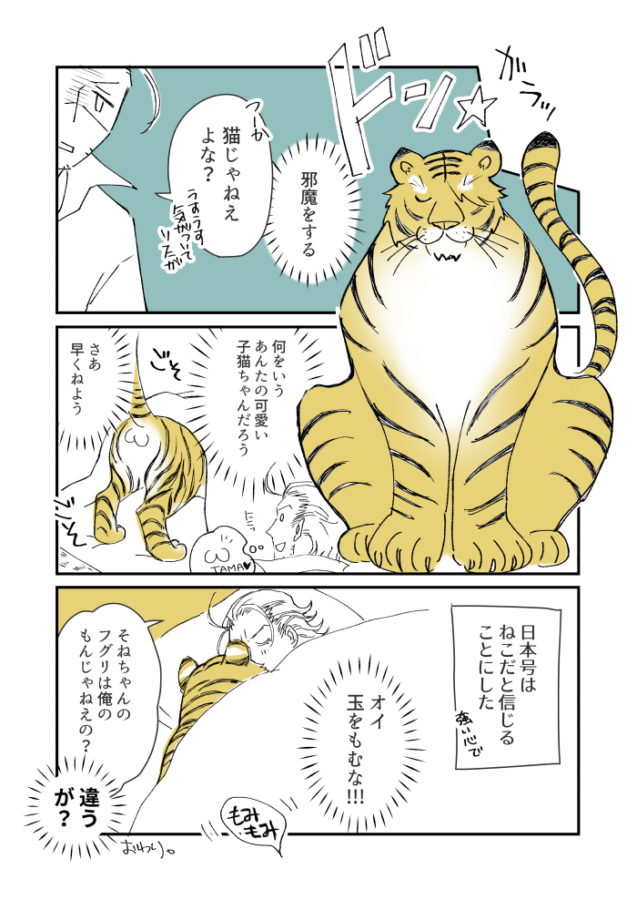 ねこのひ。。。。とっくにすぎているけど。 