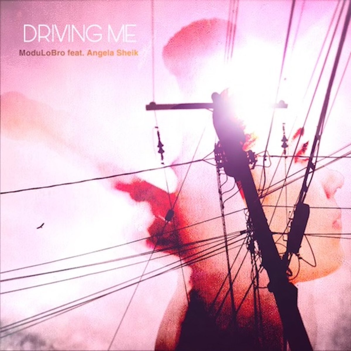 synthswitch's tweet photo. Have you heard Driving Me by Angela Sheik and ModuLoBro?

Listen here: https://t.co/hzInevABUx

#drivingme #pop #chill #dance #angelasheik #modulobro #losangeles https://t.co/yW44EXbLXJ