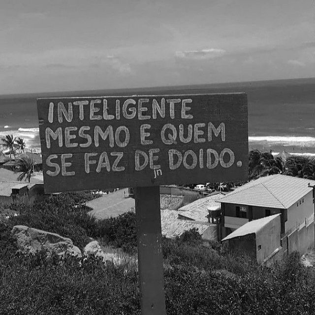 Frases Armandinho (@sigaarmandinho) on Twitter photo 